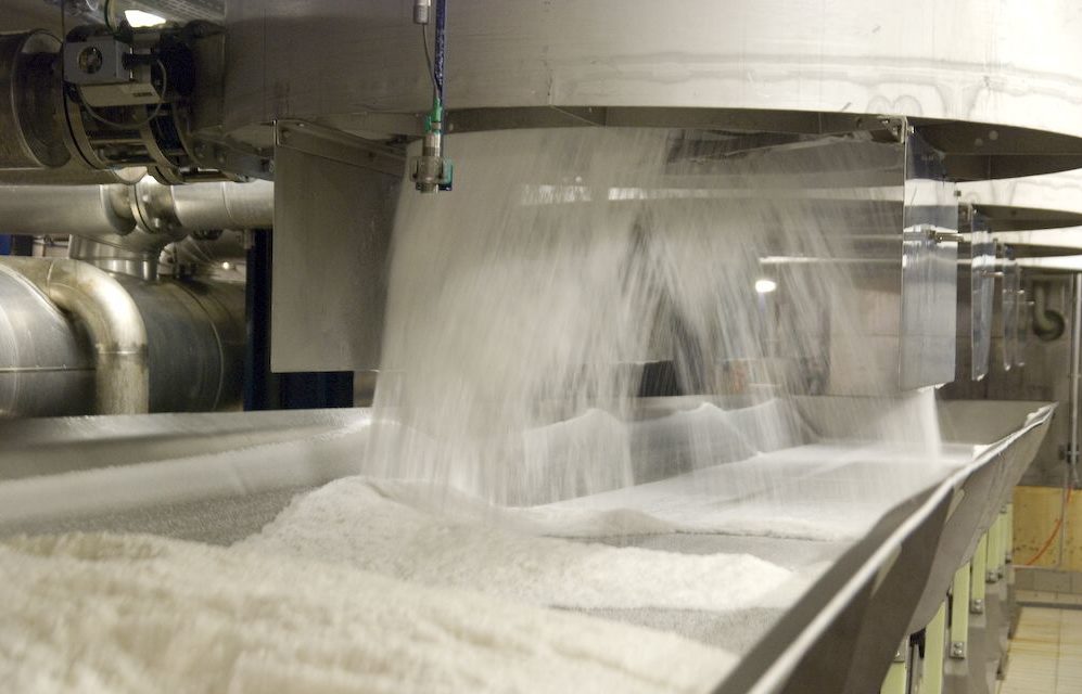 Sugar-1